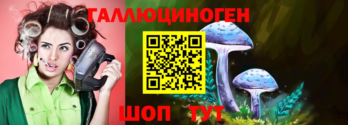 Малгобек  Галлюциногенные грибы ЛСД  Вход с VPN 